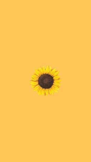 iPhone Aesthetic Sunflower Image.