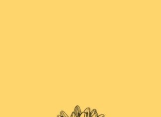 iPhone Aesthetic Sunflower Wallpaper Free Download.