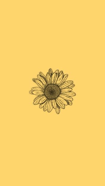 iPhone Aesthetic Sunflower Wallpaper Free Download.