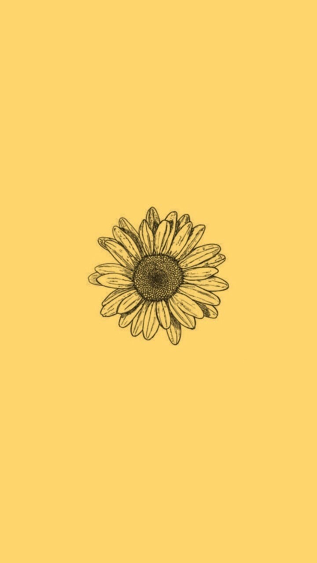 Sunflower iPhone Wallpaper - Free Phone Background - Verderamade