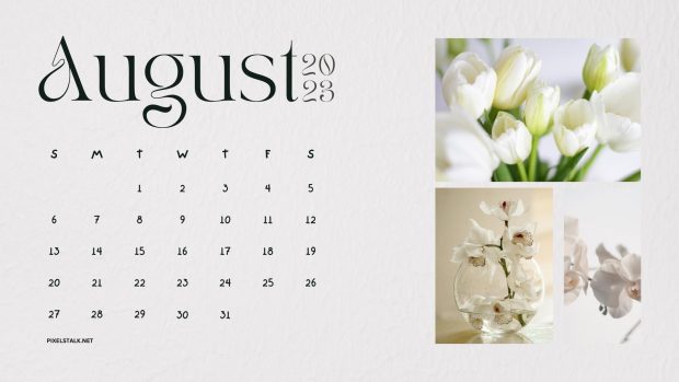 1080p August 2023 Calendar Wallpaper HD.