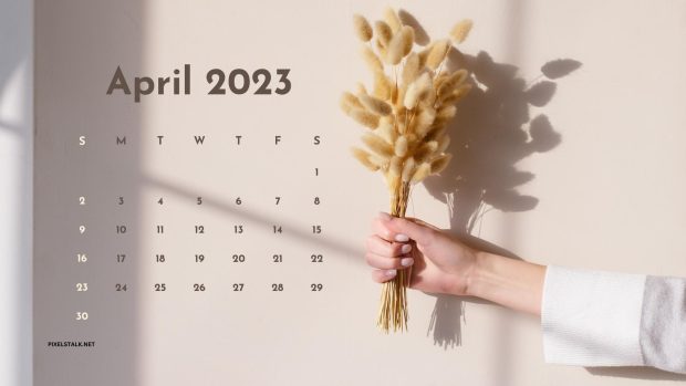 Aesthetic April 2023 Calendar Wallpaper HD.