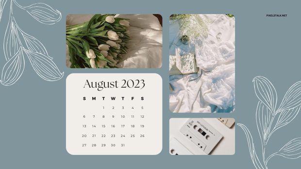Aesthetic August 2023 Calendar Background.