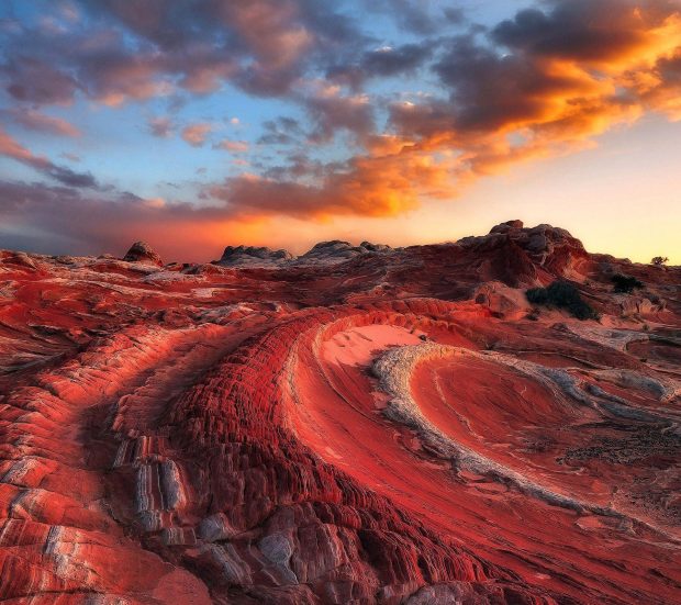 Arizona Wide Screen Wallpaper.