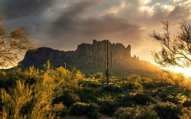 Arizona Wide Screen Wallpaper HD.