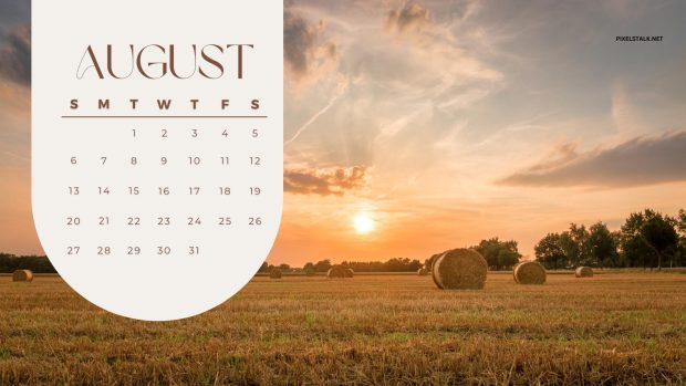 August 2023 Calendar Backgrounds Free Download.