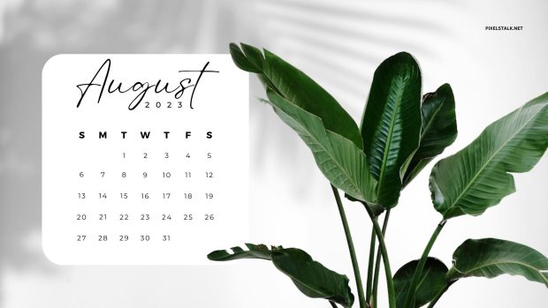 August 2023 Calendar Wallpaper.