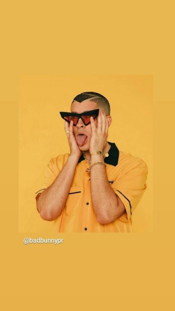 Bad Bunny Wide Screen Wallpaper.