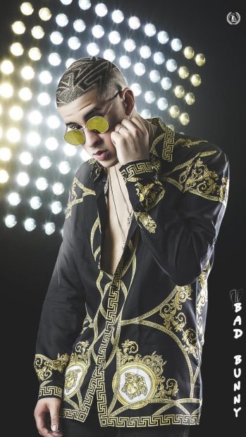 Beautiful Bad Bunny Wallpaper HD.