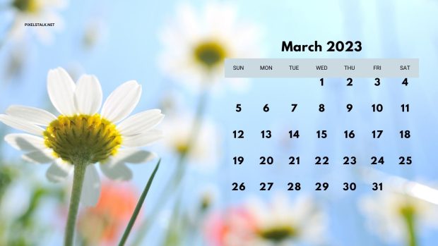 Beautiful March 2023 Calendar Background.