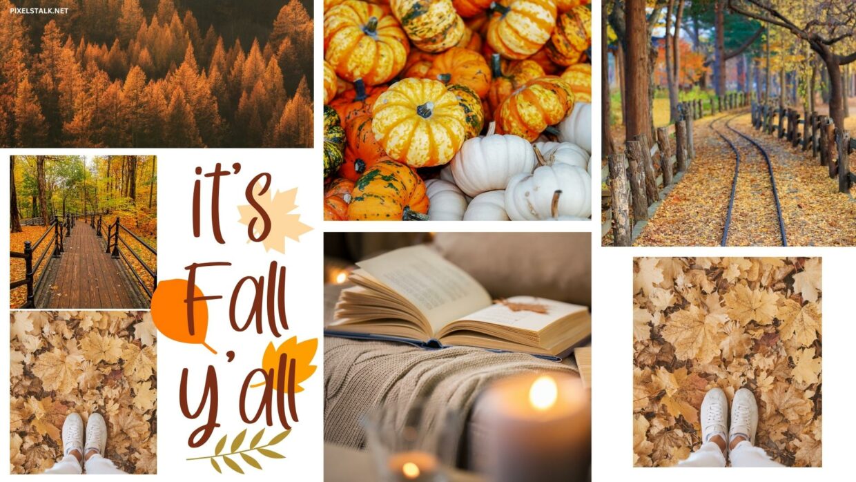 Fall 2023 Desktop Wallpapers HD - PixelsTalk