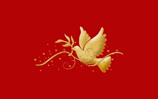 Bird Peace Wallpaper HD.