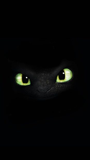 Black Toothless Wallpaper HD.