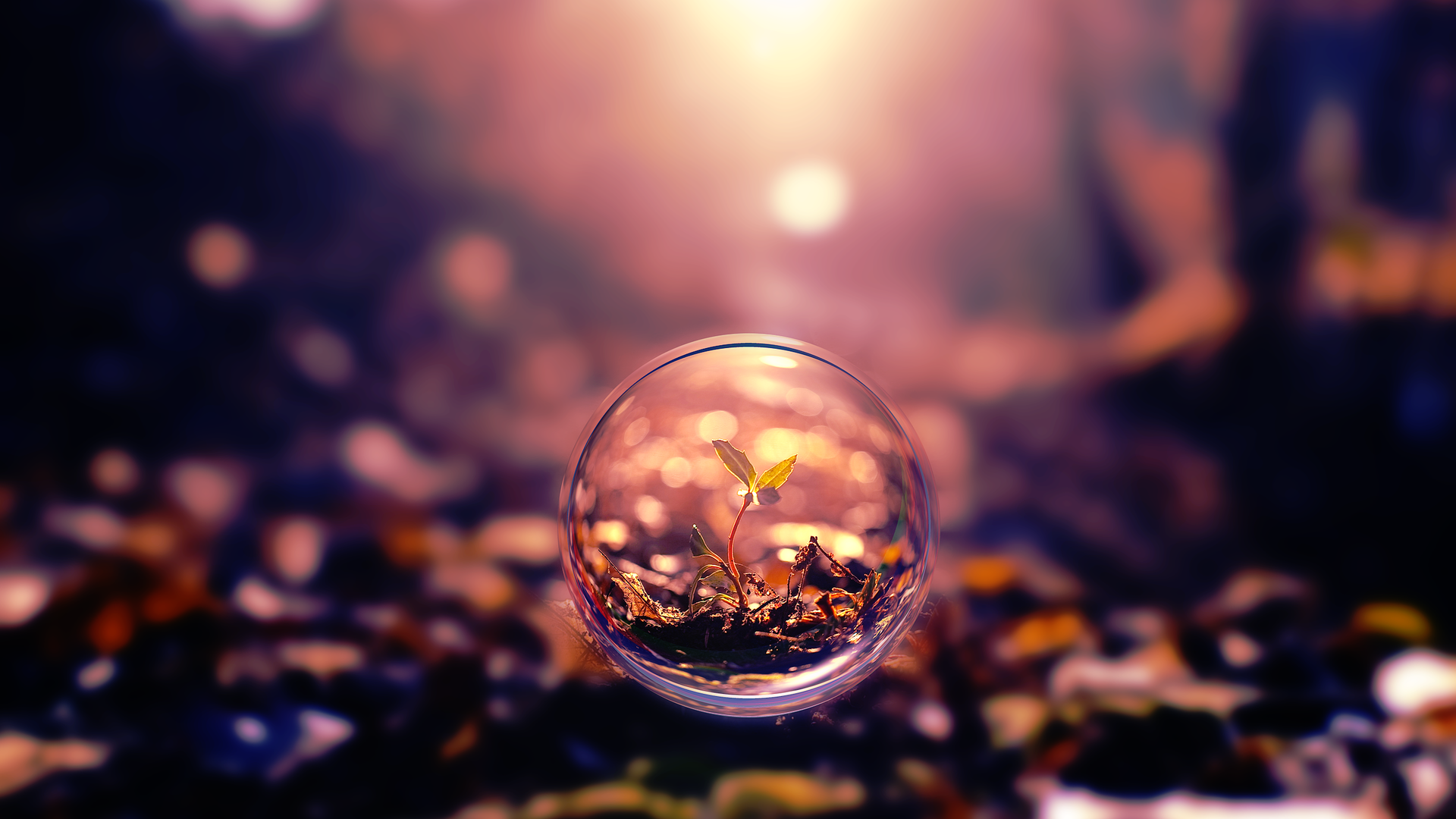 Bubbles HD Wallpapers High Quality 