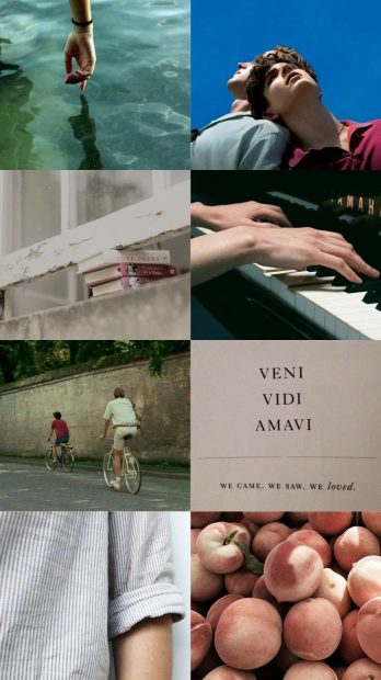Call Me By Your Name Aesthetic Wallpaper HD.