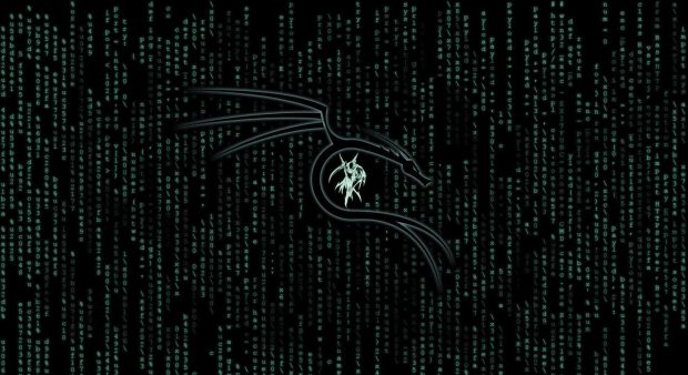 Cool Kali Linux Background.