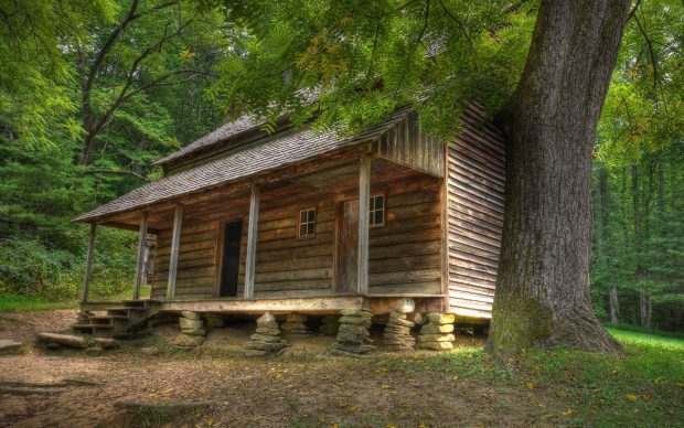 Cool Log Cabin Background.