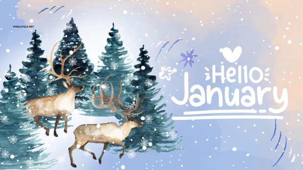 Cute January Desktop Background.