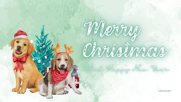 Cute Merry Christmas Wallpaper HD.