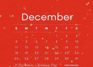 December 2022 Calendar Phone HD Wallpaper Free download.