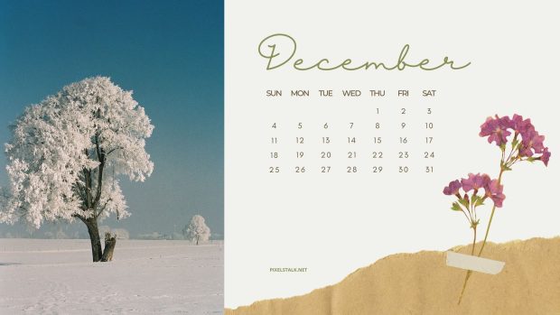 December 2022 Calendar Wide Screen Background.