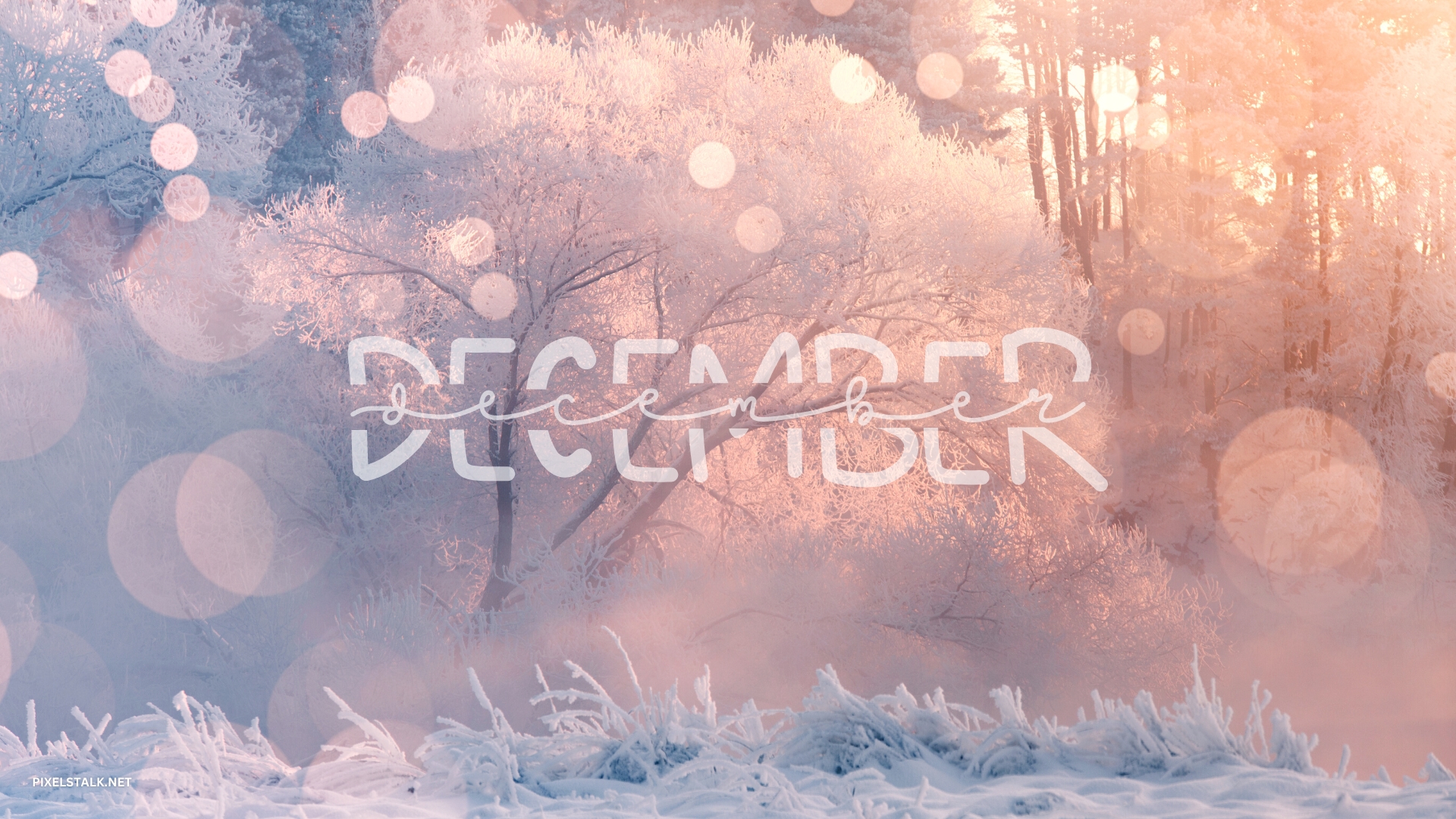 Cute December 2020 HD Calendar Wallpaper  Calendar wallpaper December  calendar Desktop calendar