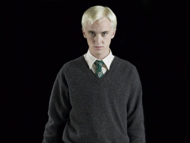 Draco Malfoy Wallpaper Computer.