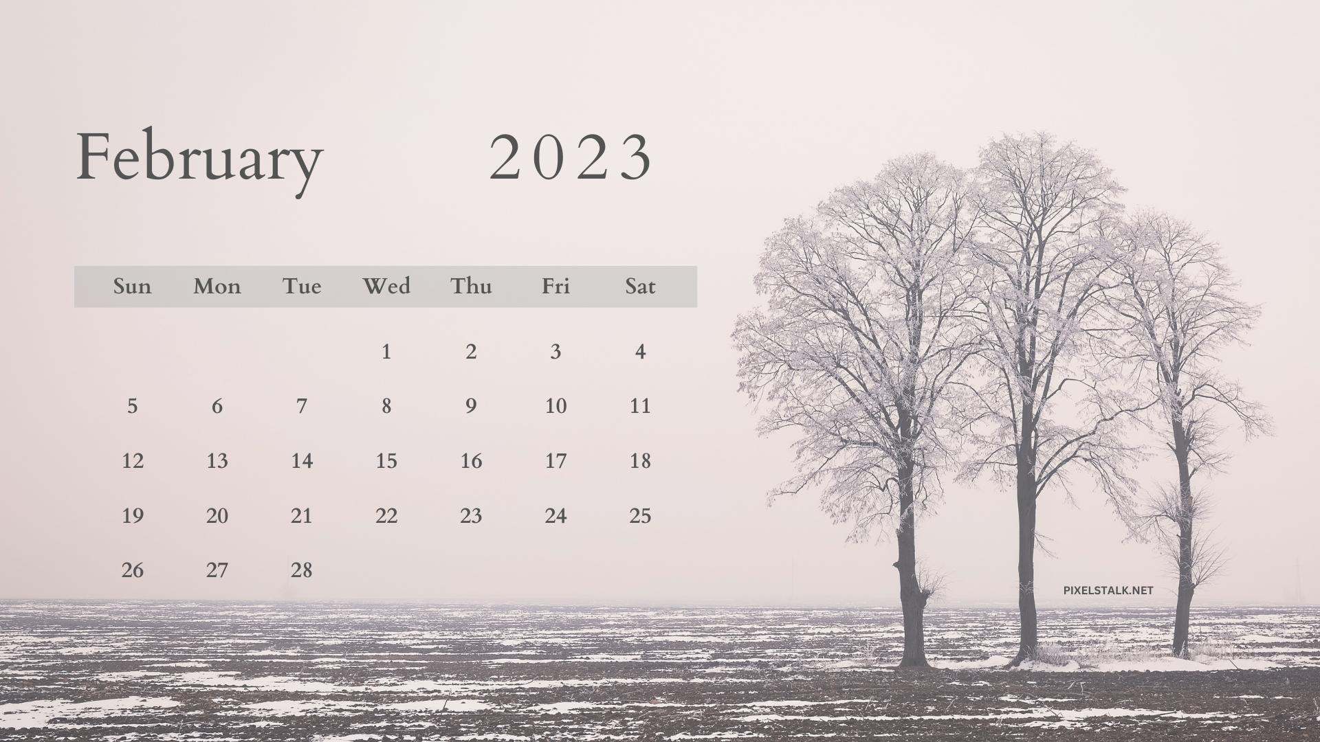February 2023 Calendar Wallpaper  Wallpapers from TheHolidaySpot