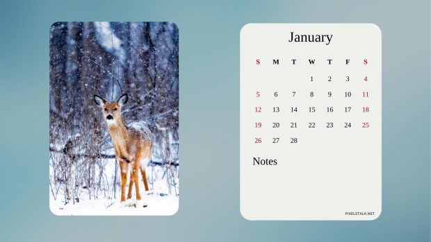 February 2023 Wide Screen Wallpaper.