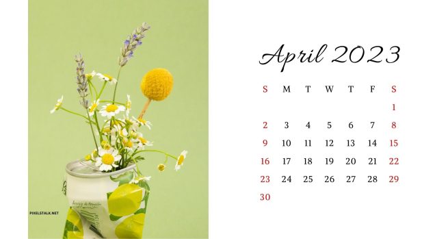 Flower April 2023 Calendar Wallpaper HD.