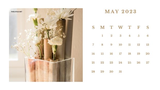 Flower May 2023 Wallpaper HD.