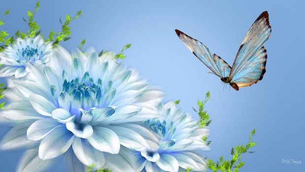 Free download Blue Flower Background HD.