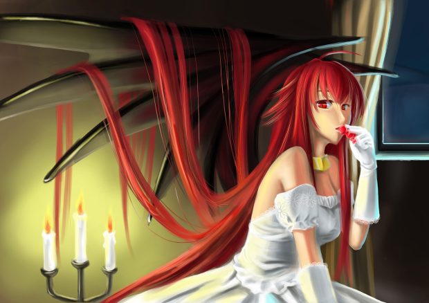 Free download Rias Gremory Wallpaper.