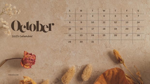 HD Wallpaper October 2023 Calendar.