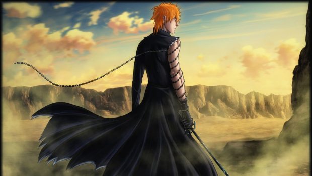 Ichigo Wallpaper Computer.