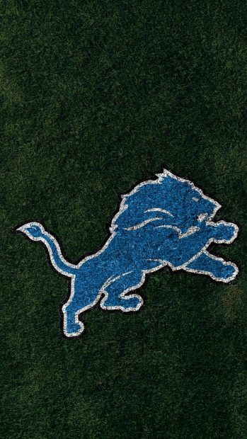 Iphone Detroit Lions Wallpaper HD.