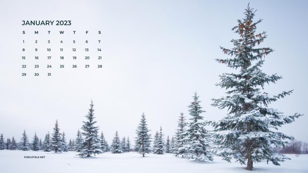 January Calendar 2023 Background HD 1080p.