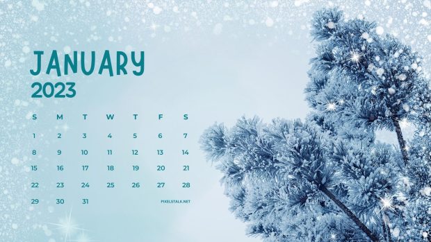 January Calendar 2023 Background HD.