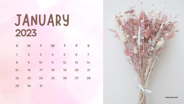 January Calendar 2023 Background High Resolution.
