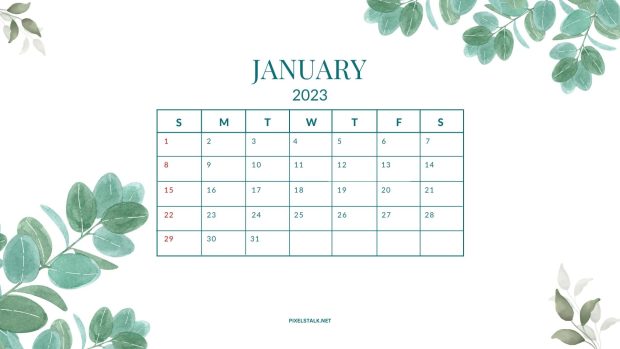 January Calendar 2023 HD Wallpaper.