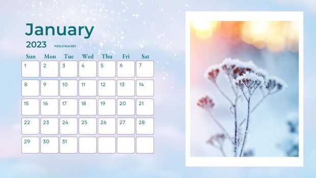 January Calendar 2023 Wallpaper HD Free download.
