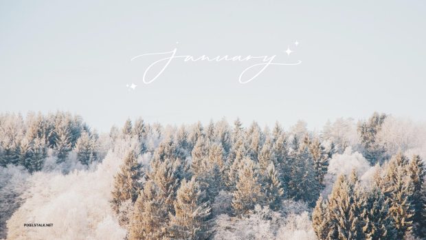 January Desktop Wallpaper High Quality.