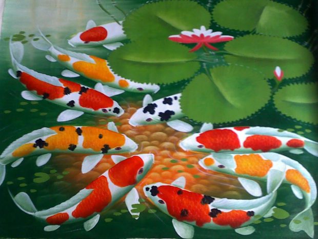 Japanese Koi Fish Wallpaper HD.