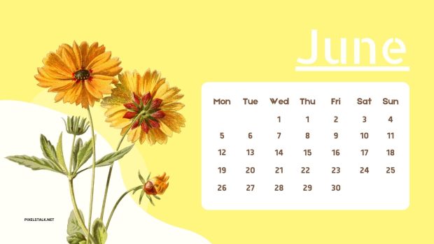 June 2023 Calendar Backgrounds High Quality.