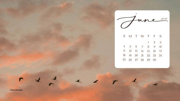 June 2023 Calendar Backgrounds High Resolution.