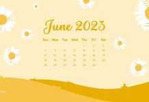 June 2023 Calendar HD Wallpaper Free download.