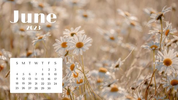 June 2023 Calendar Wallpaper High Quality.