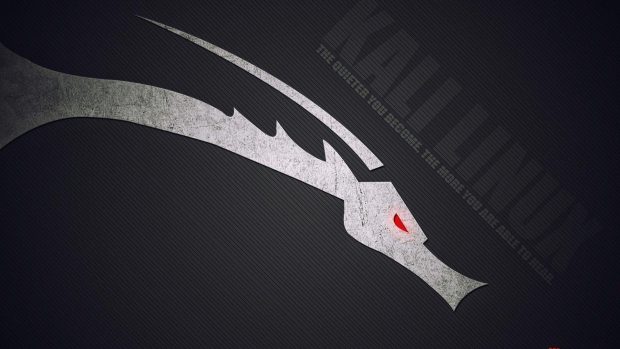Kali Linux HD Wallpaper Free download.
