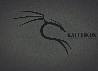 Kali Linux Wallpaper Free Download.