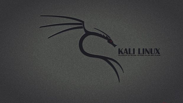 Kali Linux Wallpaper Free Download.